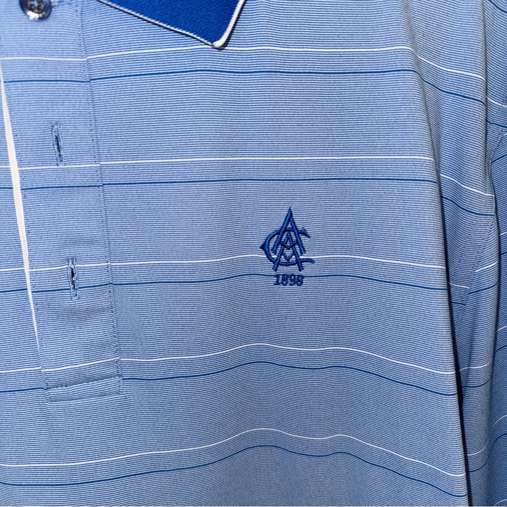 Blue Striped Polo Shirt
